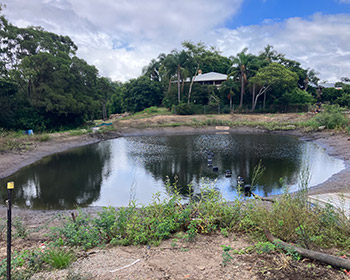 PR Water Dam Dewatering Project Thumbnail